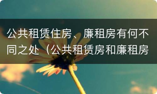 公共租赁住房、廉租房有何不同之处（公共租赁房和廉租房）