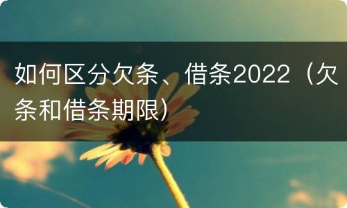 如何区分欠条、借条2022（欠条和借条期限）