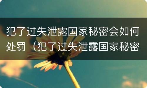 犯了过失泄露国家秘密会如何处罚（犯了过失泄露国家秘密会如何处罚呢）