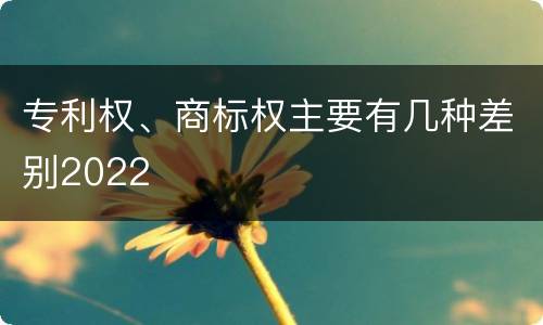 专利权、商标权主要有几种差别2022