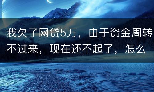 我欠了网贷5万，由于资金周转不过来，现在还不起了，怎么办