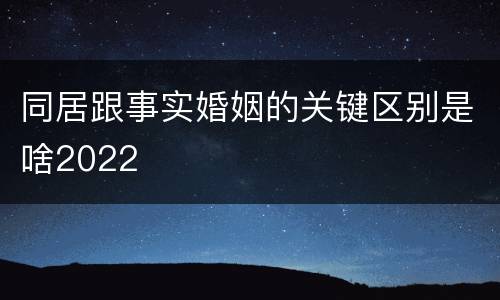 同居跟事实婚姻的关键区别是啥2022