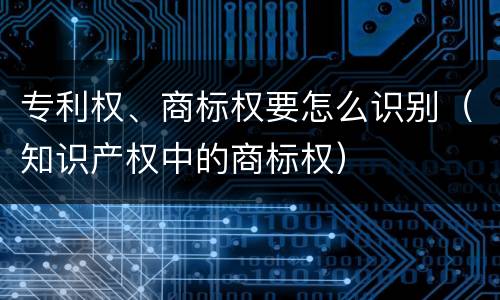 专利权、商标权要怎么识别（知识产权中的商标权）