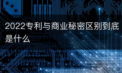 2022专利与商业秘密区别到底是什么