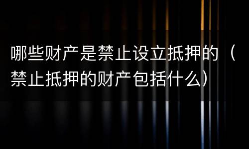 哪些财产是禁止设立抵押的（禁止抵押的财产包括什么）