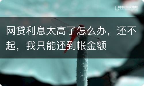 网贷利息太高了怎么办，还不起，我只能还到帐金额