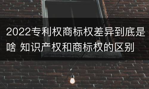 2022专利权商标权差异到底是啥 知识产权和商标权的区别