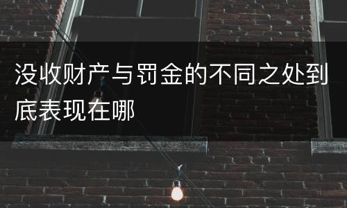 没收财产与罚金的不同之处到底表现在哪