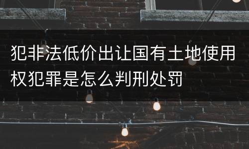 犯非法低价出让国有土地使用权犯罪是怎么判刑处罚