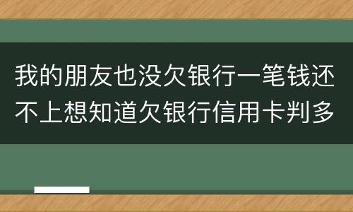 我的朋友也没欠银行一笔钱还不上想知道欠银行信用卡判多少年