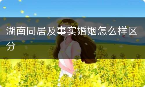 湖南同居及事实婚姻怎么样区分