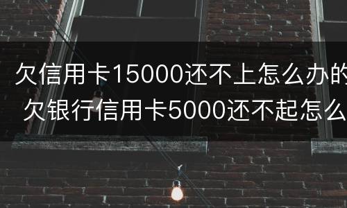 欠信用卡15000还不上怎么办的 欠银行信用卡5000还不起怎么办