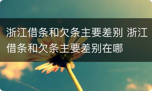 浙江借条和欠条主要差别 浙江借条和欠条主要差别在哪