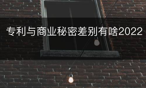 专利与商业秘密差别有啥2022