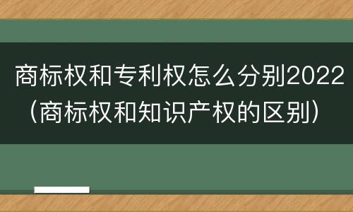 商标权和专利权怎么分别2022（商标权和知识产权的区别）