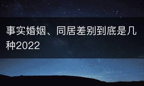 事实婚姻、同居差别到底是几种2022