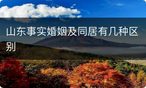 山东事实婚姻及同居有几种区别