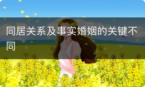 同居关系及事实婚姻的关键不同