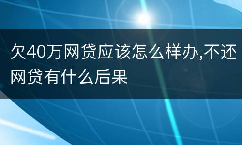 欠40万网贷应该怎么样办,不还网贷有什么后果