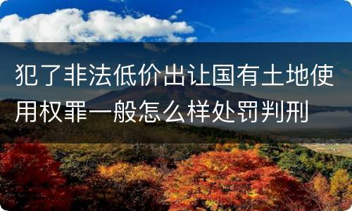 犯了非法低价出让国有土地使用权罪一般怎么样处罚判刑