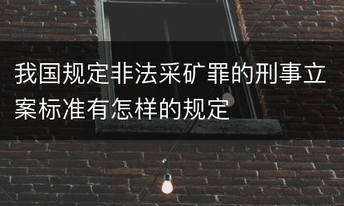 我国规定非法采矿罪的刑事立案标准有怎样的规定