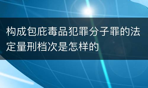 构成包庇毒品犯罪分子罪的法定量刑档次是怎样的