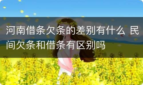 河南借条欠条的差别有什么 民间欠条和借条有区别吗