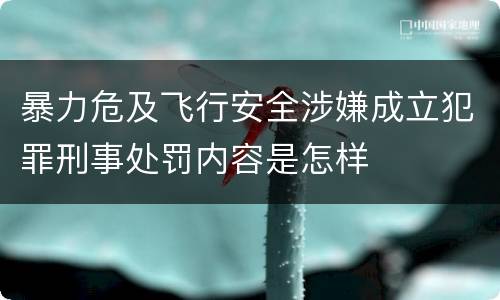 暴力危及飞行安全涉嫌成立犯罪刑事处罚内容是怎样