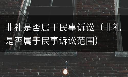 非礼是否属于民事诉讼（非礼是否属于民事诉讼范围）