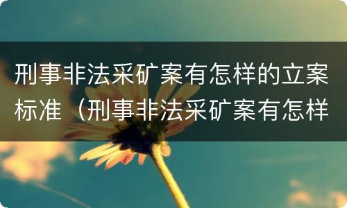 刑事非法采矿案有怎样的立案标准（刑事非法采矿案有怎样的立案标准和规定）