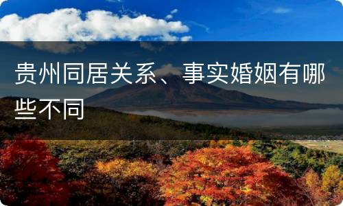 贵州同居关系、事实婚姻有哪些不同