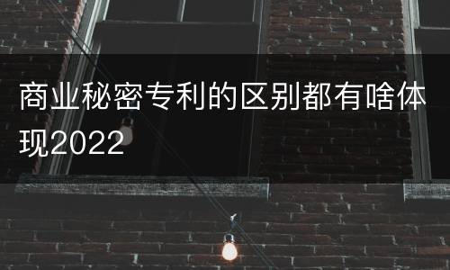 商业秘密专利的区别都有啥体现2022