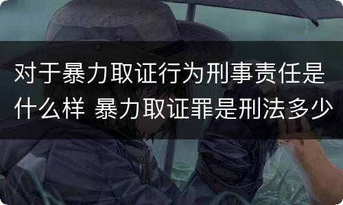 对于暴力取证行为刑事责任是什么样 暴力取证罪是刑法多少条