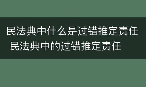 民法典中什么是过错推定责任 民法典中的过错推定责任