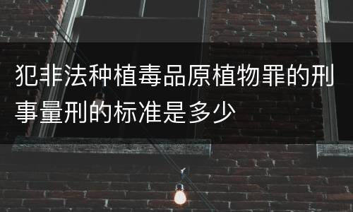 犯非法种植毒品原植物罪的刑事量刑的标准是多少