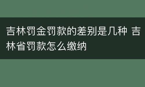 吉林罚金罚款的差别是几种 吉林省罚款怎么缴纳