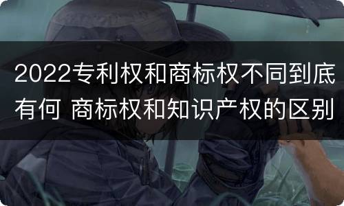 2022专利权和商标权不同到底有何 商标权和知识产权的区别