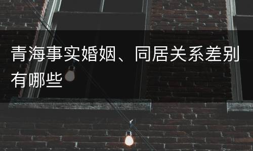 青海事实婚姻、同居关系差别有哪些