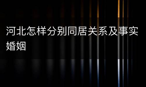 河北怎样分别同居关系及事实婚姻