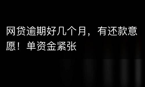 网贷逾期好几个月，有还款意愿！单资金紧张