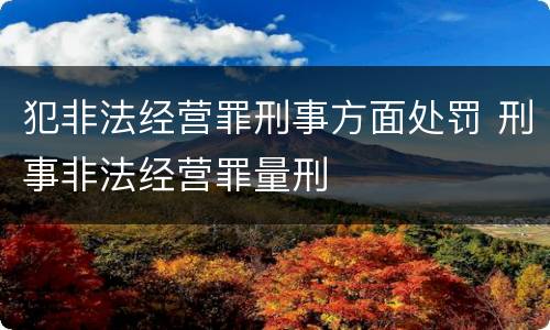 犯非法经营罪刑事方面处罚 刑事非法经营罪量刑