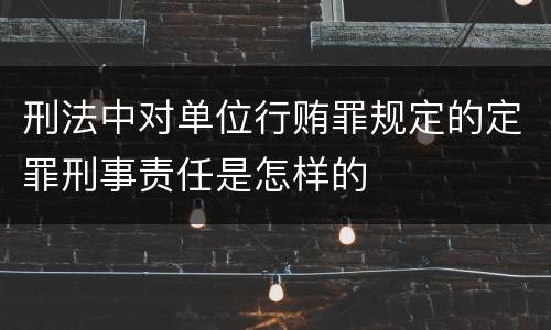 刑法中对单位行贿罪规定的定罪刑事责任是怎样的