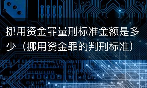 挪用资金罪量刑标准金额是多少（挪用资金罪的判刑标准）