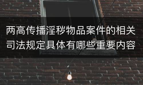 两高传播淫秽物品案件的相关司法规定具体有哪些重要内容