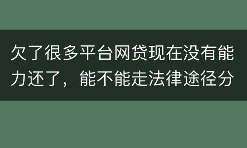 欠了很多平台网贷现在没有能力还了，能不能走法律途径分期