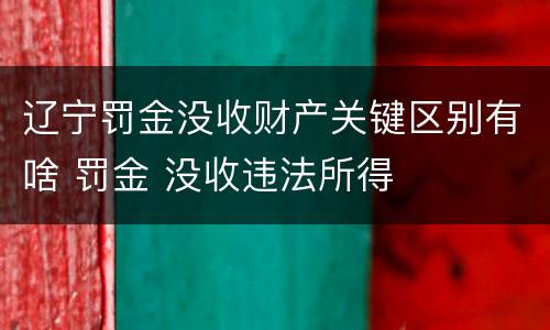 辽宁罚金没收财产关键区别有啥 罚金 没收违法所得