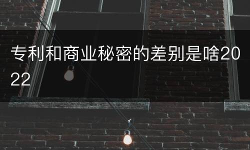 专利和商业秘密的差别是啥2022