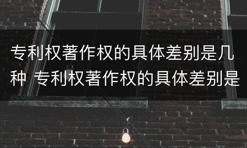 专利权著作权的具体差别是几种 专利权著作权的具体差别是几种情形