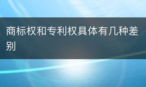 商标权和专利权具体有几种差别