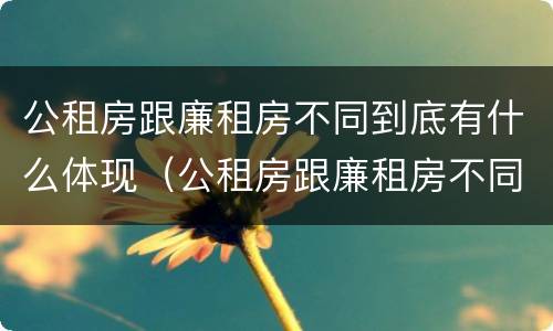 公租房跟廉租房不同到底有什么体现（公租房跟廉租房不同到底有什么体现吗）